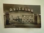 Vogelpark Avifauna Alphen aan de Rijn Ingang Poort bij avond, Ophalen of Verzenden, Voor 1920, Zuid-Holland