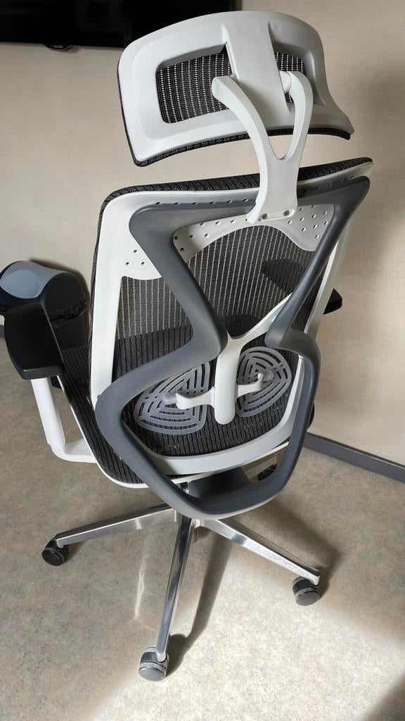 ergonomisch Bureaustoel met hoofdsteun en lendesteun, Ophalen, Zo goed als nieuw, Grijs, Bureaustoel