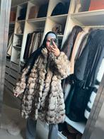 Echte blauwvos bontjas, Kleding | Dames, Ophalen of Verzenden, Zo goed als nieuw, Maat 38/40 (M), Carnaval