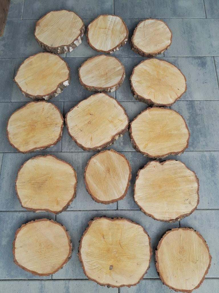 15 Boomstamschijven voor decoratie bruiloft, Ophalen, Gebruikt, Geboorte of Huwelijk