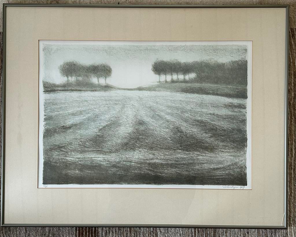Litho van Hans Dolieslager - Goerees Landschap (50x60 cm), Antiek en Kunst, Ophalen