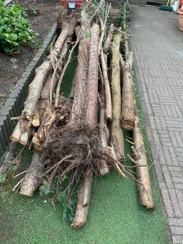 Vers gezaagd hout voor open haard of houtkachel, Minder dan 3 m³, Ophalen of Verzenden, Overige houtsoorten, Stammen