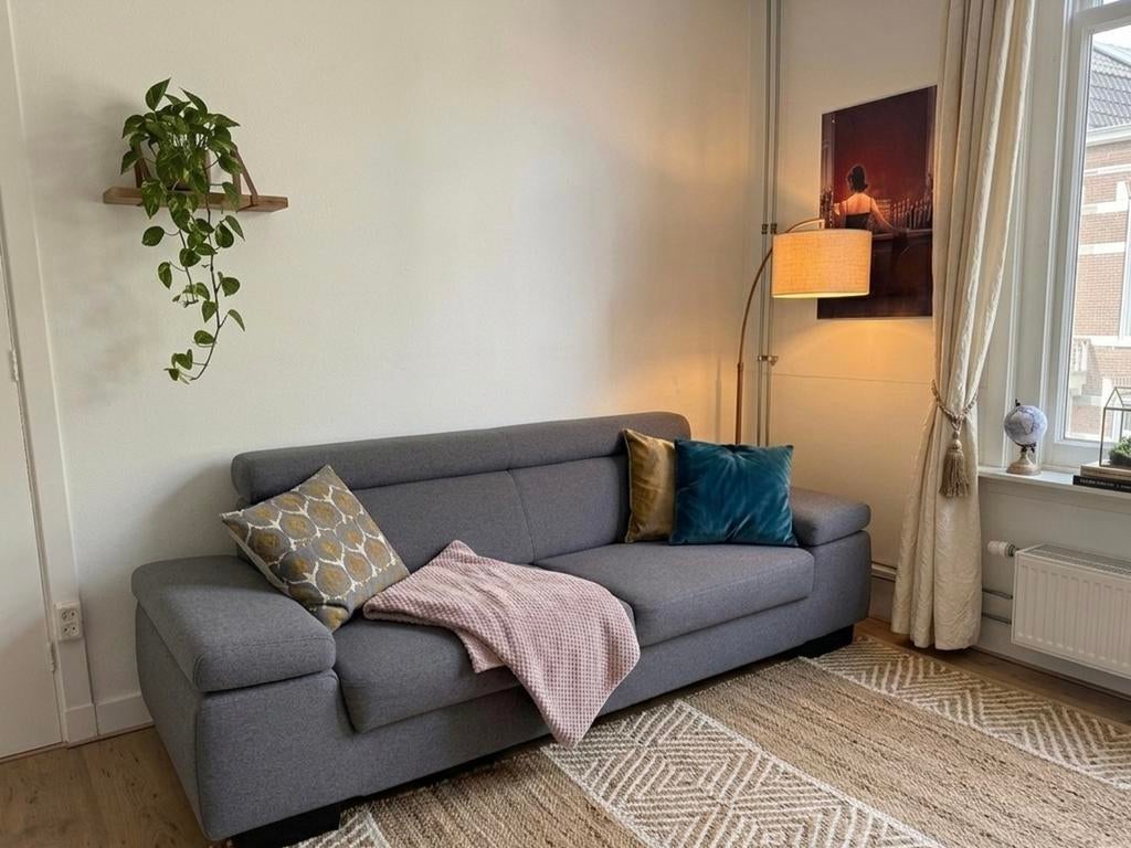 Grijze bank met verstelbare leuningen, Ophalen, Zo goed als nieuw