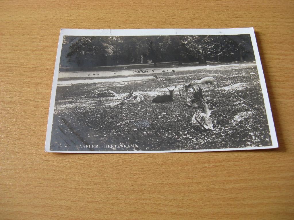 Haarlem Hertenkamp 4, Ophalen of Verzenden, Voor 1920, Gelopen, Noord-Brabant
