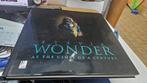 stevie wonder at the close of a century muziekboek, Diverse, Artiest, Ophalen of Verzenden, Zo goed als nieuw