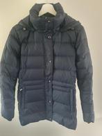 Mooie blauwe winterjas van Tommy Hilfiger maat L, Kleding | Dames, Tommy Hilfiger, Blauw, Maat 42/44 (L), Ophalen of Verzenden