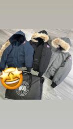 Merkkleding, Ophalen of Verzenden, Nieuw, Overige maten