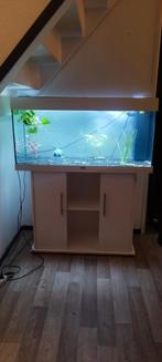 Juwel 180 liter aquarium wit met meubel en filter compleet, Zo goed als nieuw, Ophalen, Leeg aquarium
