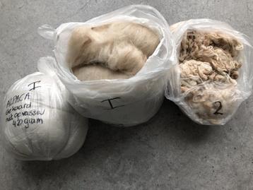 1,2 kg gekaarde alpacawol  beschikbaar voor biedingen