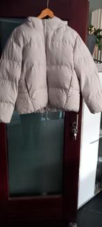 NIEWE Mooie Damesjas - FB Sister - Maat XL., Kleding | Dames, Jassen | Winter, Beige, Maat 46/48 (XL) of groter, Ophalen of Verzenden