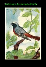 🔶🔶Pax Steen, serie dieren Vogels (2), Ophalen of Verzenden, 1940 tot 1960, Ongelopen, Vogel