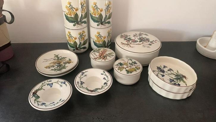 Villeroy & Boch Botanica servies zgan, Antiek en Kunst, Antiek | Servies compleet, Ophalen