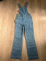 King Louie maat 38 spijker blauwe jumpsuit tuinbroek 2154, Kleding | Dames, Maat 38/40 (M), Blauw, Ophalen of Verzenden, Zo goed als nieuw