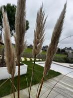 Pampas, Huis en Inrichting, Ophalen, Nieuw