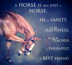 Pensionstal gezocht, Weidegang