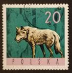 POLEN - wolf 1965, Postzegels en Munten, Postzegels | Europa | Overig, Polen, Verzenden, Gestempeld