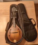 Eastman MD305 A Style 2020, Muziek en Instrumenten, Snaarinstrumenten | Mandolines, Ophalen, Nieuw