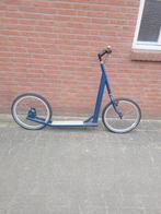 6 x Step Kick bike hondenstep custom made oersterk, Fietsen en Brommers, Steps, Ophalen, Zo goed als nieuw, Gewone step