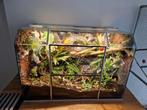 Vol Bioactive Ingericht terrarium, Ophalen, Zo goed als nieuw, Terrarium of Paludarium