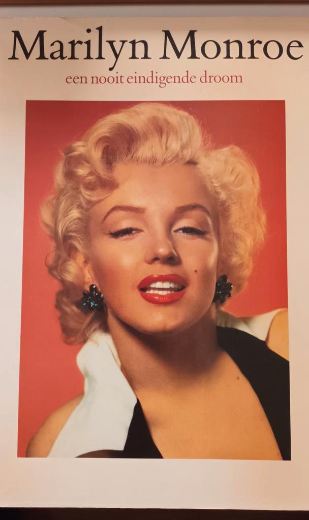 Marilyn Monroe een nooit eindigende droom - Guus Luijters, Boeken, Biografieën, Zo goed als nieuw, Overige, Ophalen of Verzenden