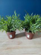 2x IKEA Kunstplanten - Mooie Decoratie, Huis en Inrichting, Woonaccessoires | Kunstplanten en Kunstbloemen, Ophalen of Verzenden