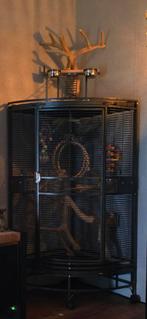 Keddoc papegaaienkooi/hoekkooi Ohio, Dieren en Toebehoren, Ophalen, Zo goed als nieuw, Metaal, Vogelkooi