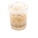 Potjes fruitvliegen in ei/larvenstadium te koop, Dieren en Toebehoren, Verzenden, Zo goed als nieuw