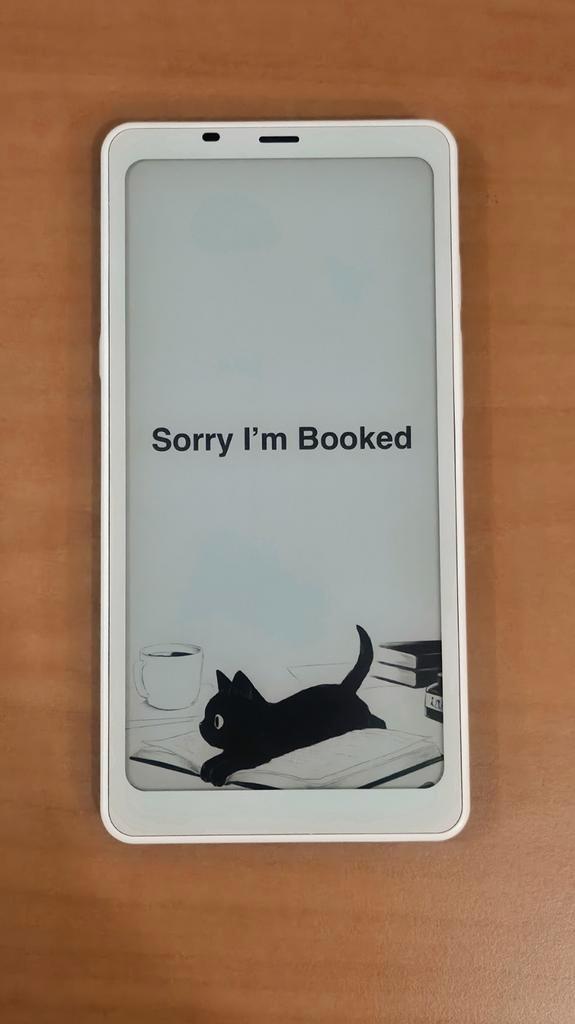 Onyx BOOX Palma 1 ( + 4 Cases), Computers en Software, E-readers, Zo goed als nieuw, Bluetooth, Touchscreen, Ophalen