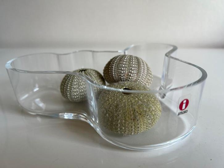 XL Iittala Design Schaal Transparant Savoy Alvar Aalto 19,5, Huis en Inrichting, Woonaccessoires | Schalen en Manden, Zo goed als nieuw