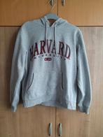 Grijze Harvard University van H&M maat M, Kleding | Dames, Maat 38/40 (M), H&M, Ophalen of Verzenden, Grijs