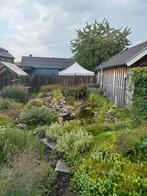 Vijver + alle toebehoren, Tuin en Terras, Vijvers, Ophalen, Gebruikt