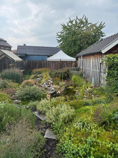 Vijver + alle toebehoren, Tuin en Terras, Vijvers, Gebruikt, Ophalen