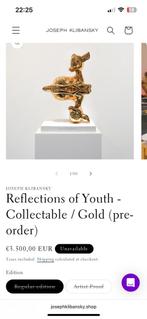 Joseph Klibansky Reflection of Youth, Ophalen
