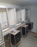 Tekoop 2 blokken van 3 broedkooien, Ophalen of Verzenden, Hout, Broedkooi of Kweekkooi