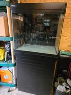 Red Sea aquarium (incl. toebehoren), Ophalen, Zo goed als nieuw, Leeg aquarium
