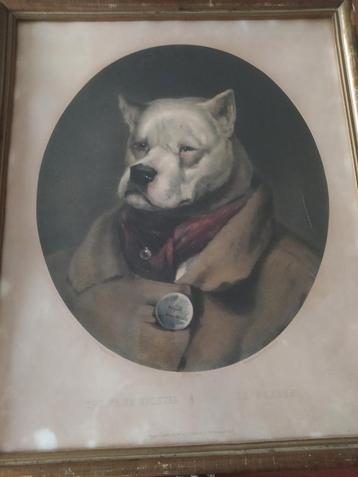 Antieke Litho - The Prize Fighter  beschikbaar voor biedingen