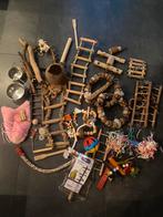 Papegaai  vogelspeelgoed interieur kooi, Mannelijk, Tropenvogel