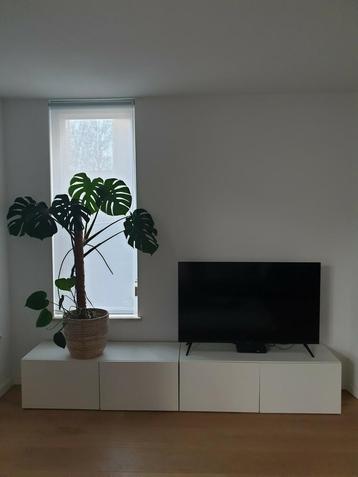 Ikea BESTÅ besta Kast met deuren 2 stuks

