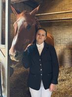 Verzorgpony gezocht, Ophalen of Verzenden, Zo goed als nieuw
