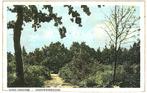 909154	Drouwen	Drenthe	1955 Drouwenerzand	Nette oude kaart O, Verzamelen, Ansichtkaarten | Nederland, Ophalen of Verzenden, 1940 tot 1960