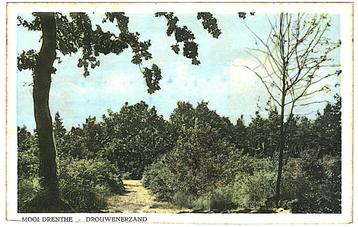 909154	Drouwen	Drenthe	1955 Drouwenerzand	Nette oude kaart O beschikbaar voor biedingen