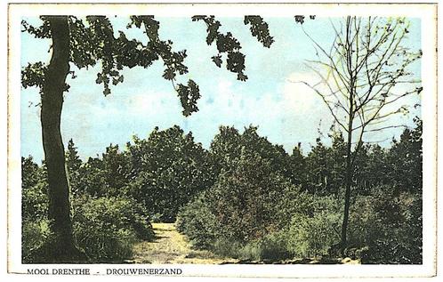 909154	Drouwen	Drenthe	1955 Drouwenerzand	Nette oude kaart O, Verzamelen, Ansichtkaarten | Nederland, Ongelopen, Drenthe, 1940 tot 1960
