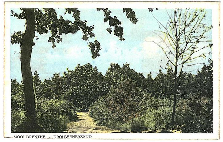 909154	Drouwen	Drenthe	1955 Drouwenerzand	Nette oude kaart O, Verzamelen, Ansichtkaarten | Nederland, Ongelopen, Drenthe, 1940 tot 1960