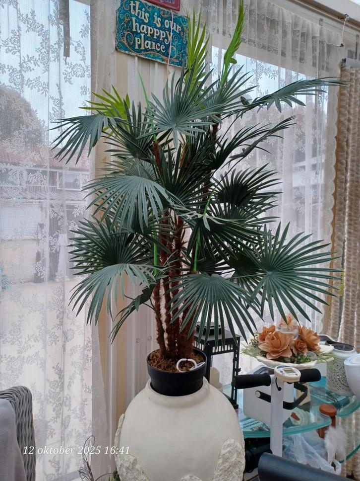 Kunstplant  palm,net plant palmboom kunstboom 35 €, Huis en Inrichting, Woonaccessoires | Kunstplanten en Kunstbloemen, Zo goed als nieuw