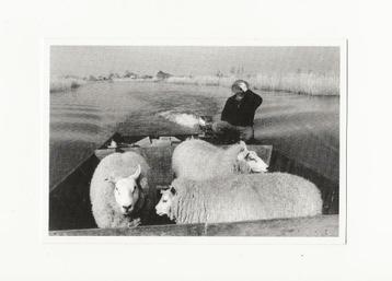 Oostzaan - Oostzanerveld beschikbaar voor biedingen