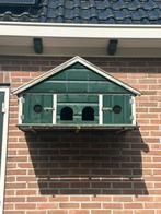 Duivenhok voor aan de muur, Dieren en Toebehoren, Vogels | Duiven, Geslacht onbekend, Overige soorten