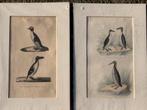 2 oude kopergravures 1850 dunhaim, Ophalen of Verzenden