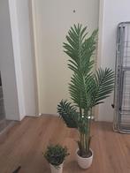 Plastic Decorative Plants, Ophalen, Zo goed als nieuw, Binnen