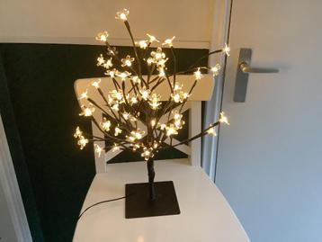Led Boompje  beschikbaar voor biedingen