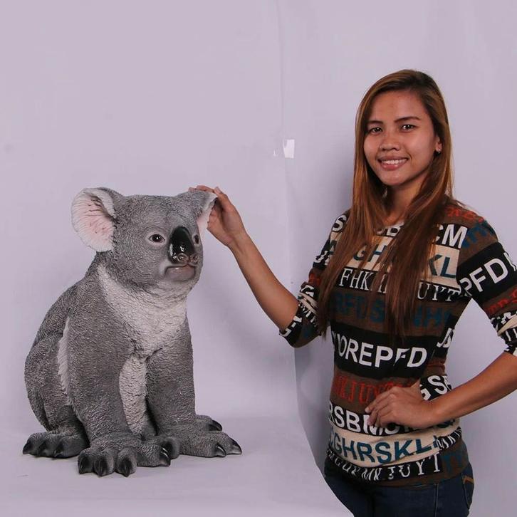 Koala Beer – Koalabeer Hoogte 48 cm, Verzamelen, Dierenverzamelingen, Nieuw, Overige typen, Ophalen